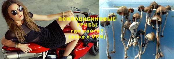 СК Абаза