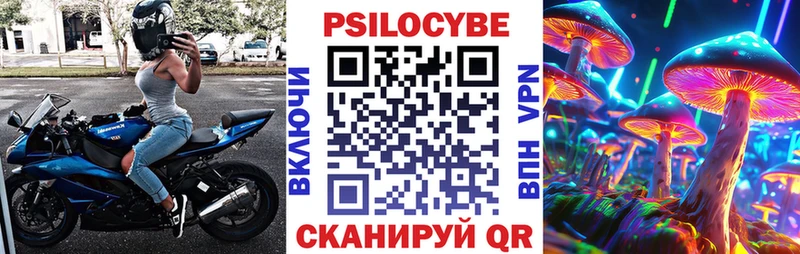 блэк спрут рабочий сайт  Щёкино  Галлюциногенные грибы Psilocybe  магазин продажи наркотиков 